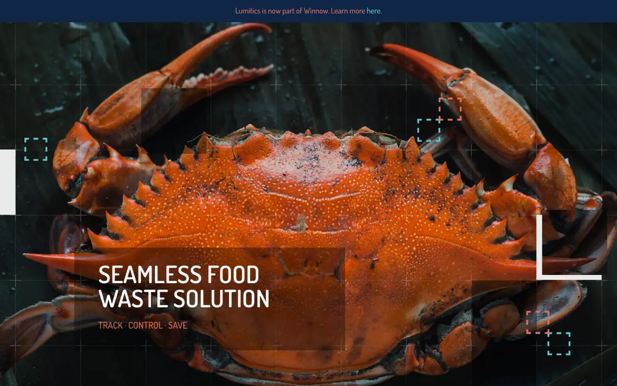Home page of Lumitics's website